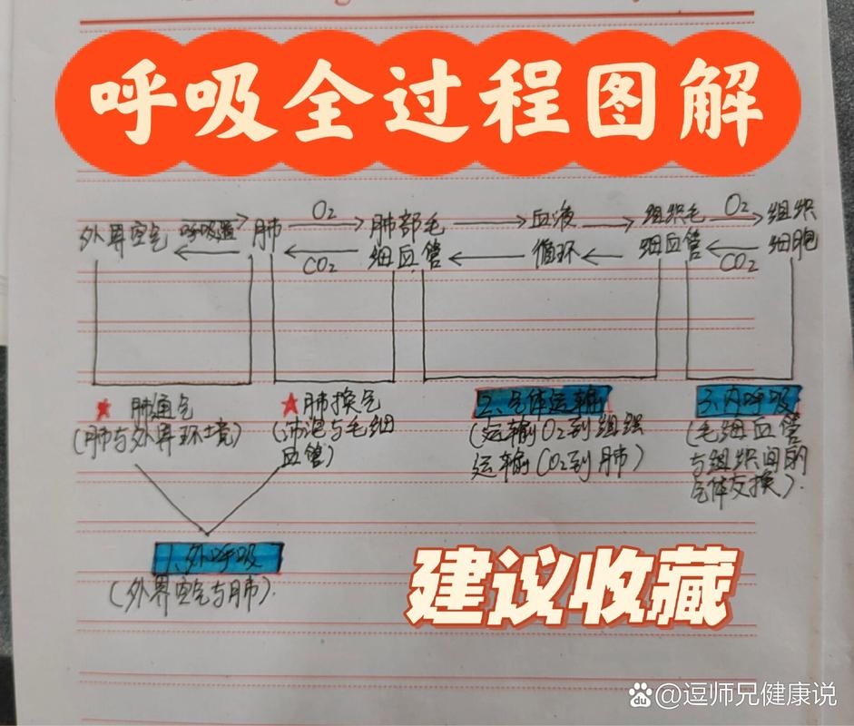 全步骤
