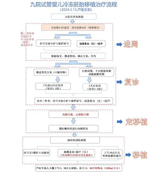 放胚胎流程