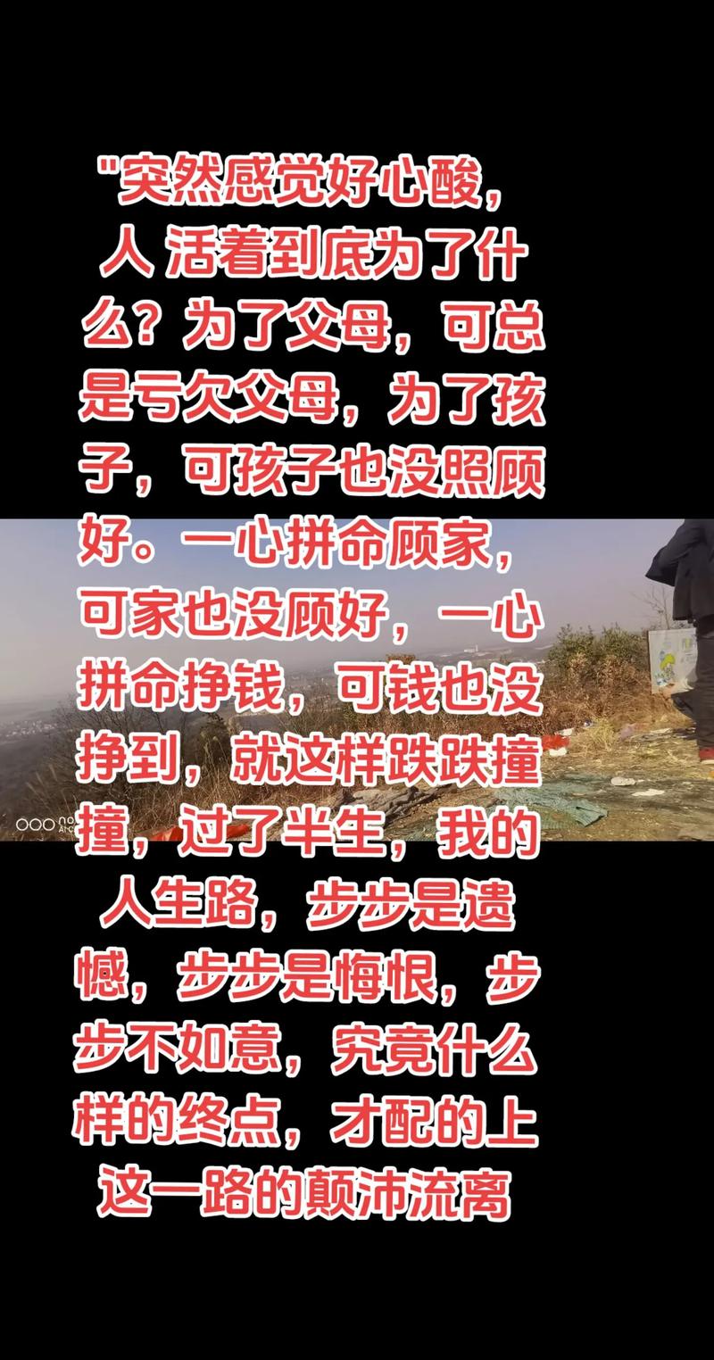 求子心酸