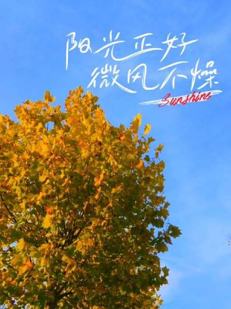 微风不燥