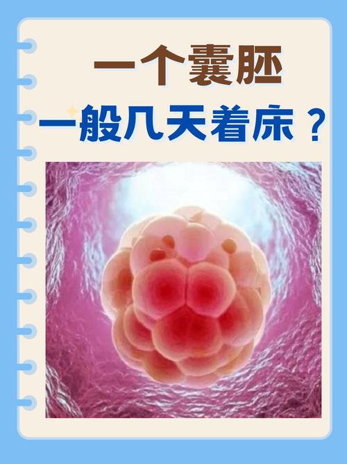 冻胚着床时间