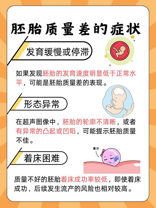 胚胎优缺点