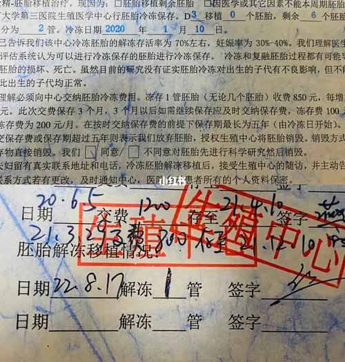  胚胎冷冻协议