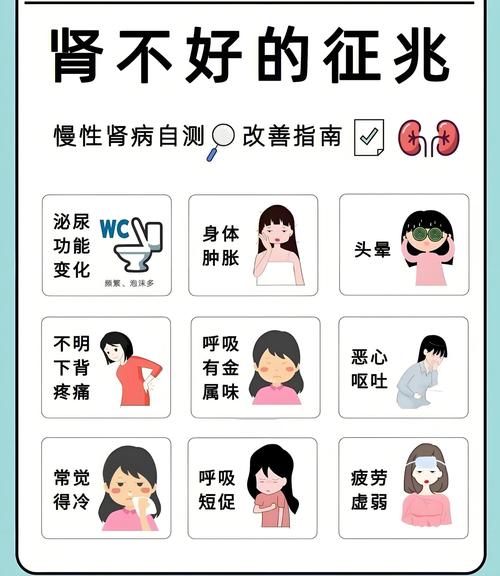 肾脏问题