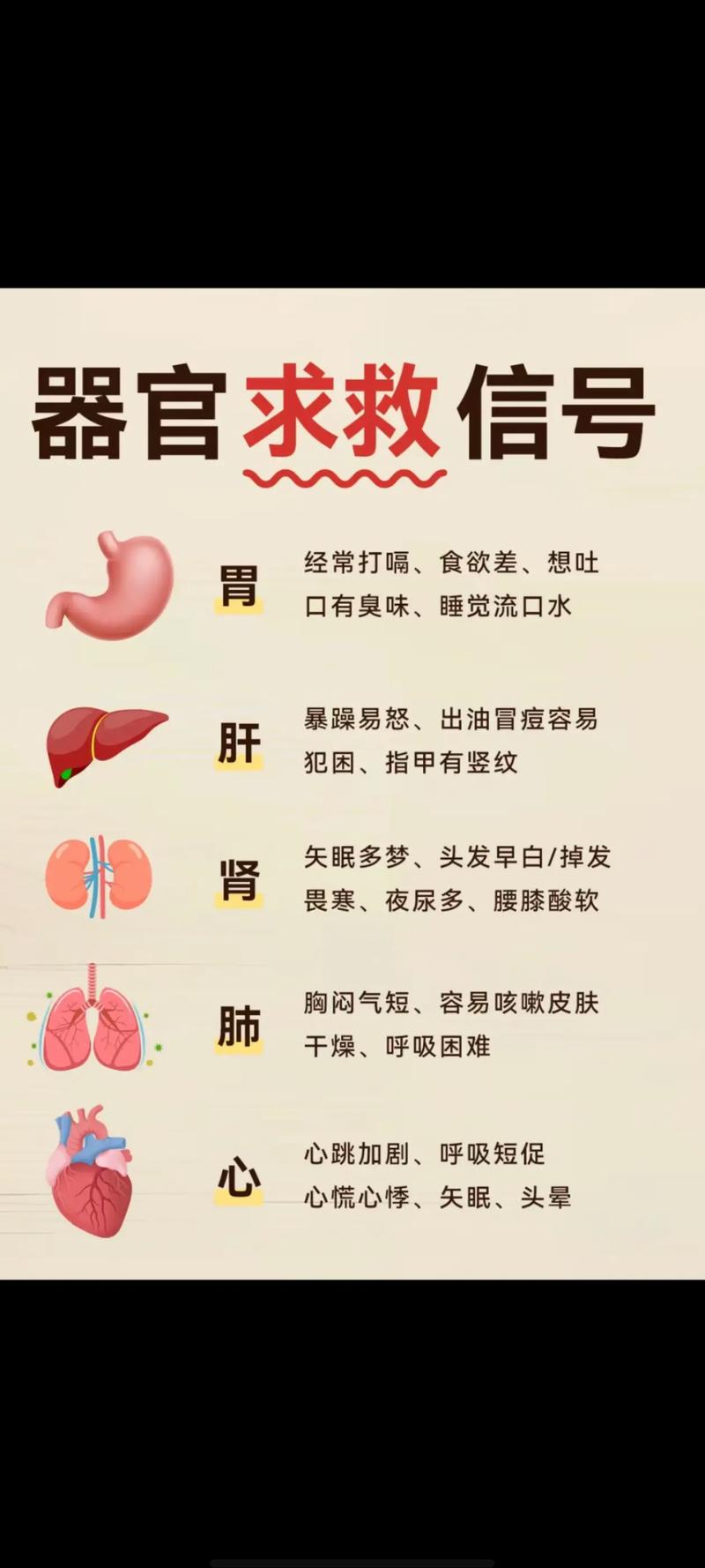 身体信号