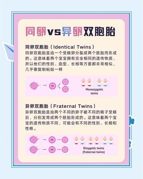 医疗技术
描述: 本文详细揭秘了试管婴儿怀双胞胎的概率，通过数据展示不同年龄段的概率差异，并深入分析年龄、胚胎移植数量、遗传、子宫内膜环境等影响因素，旨在让读者全面了解相关知识 。