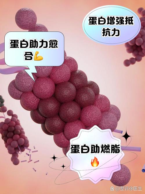 补充蛋白