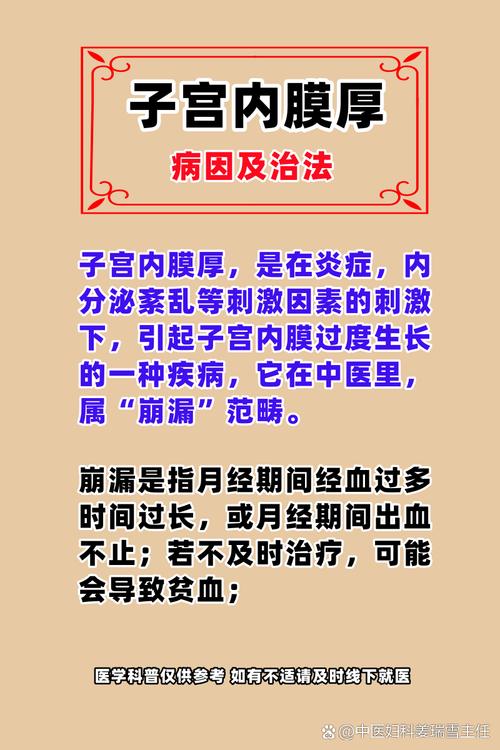 子宫内膜因素