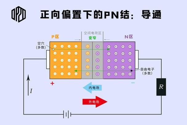  PN特征