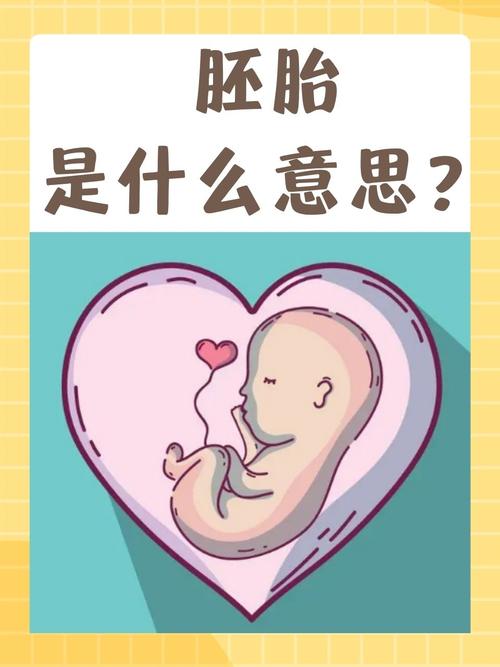 胚胎结局
