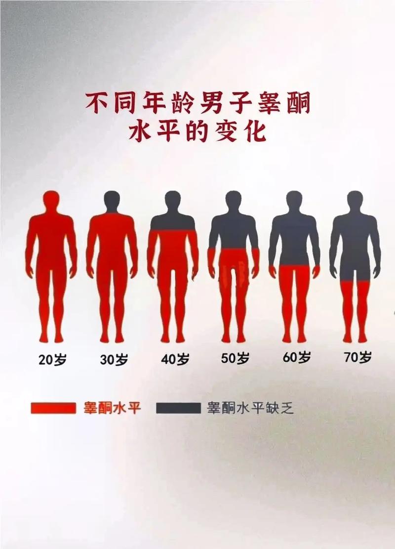 睾酮水平