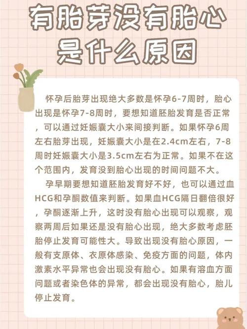 无胎心原因