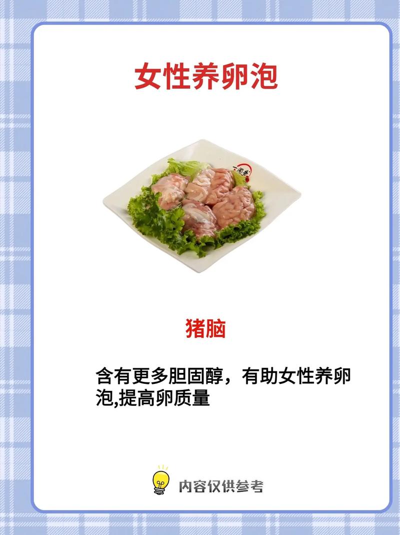 养囊卵泡