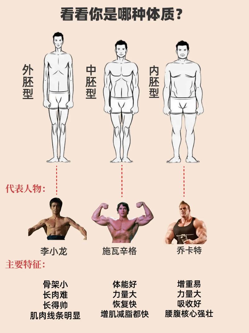 体貌特征