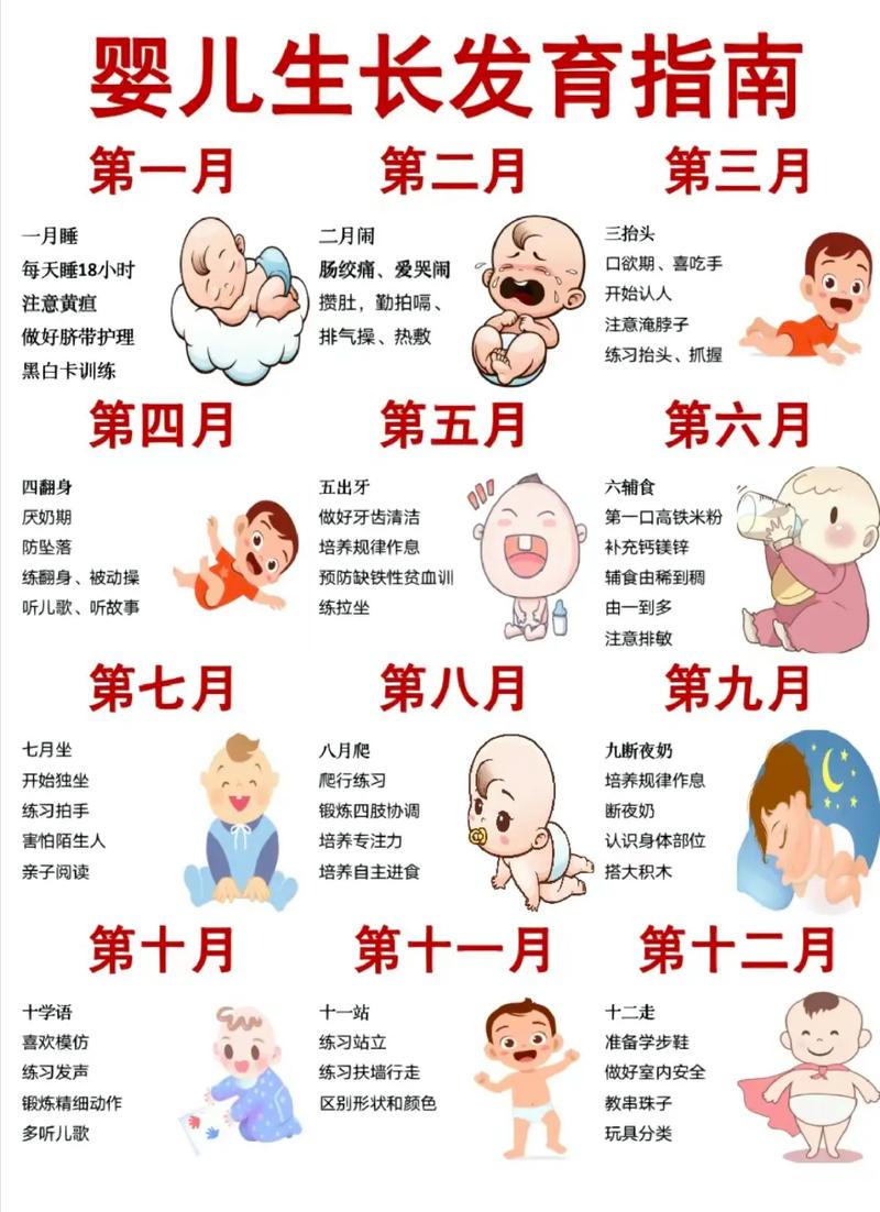出生月份选择