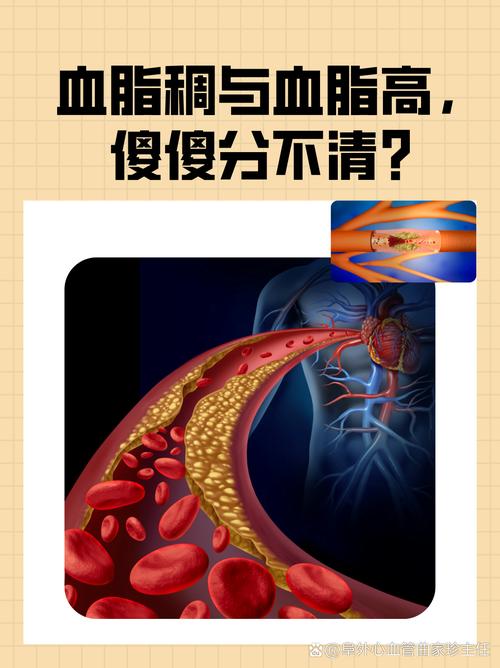 血脂过高