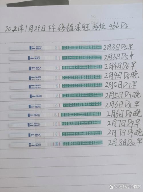 移植十天