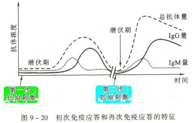 第一次 B 超