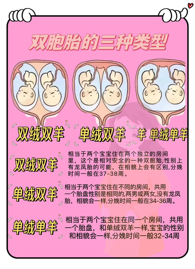 双胞胎流产率