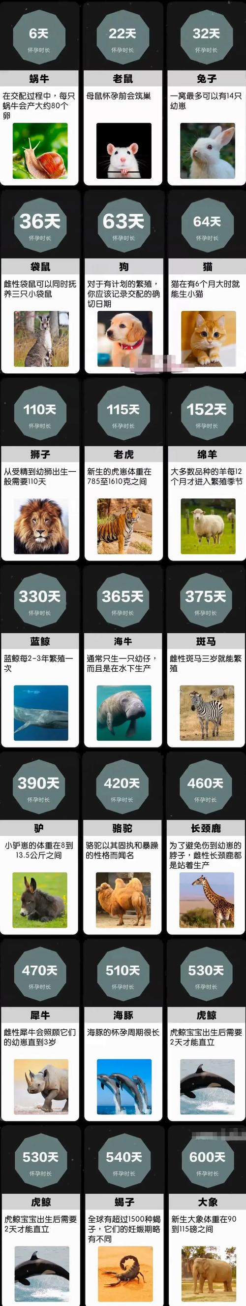 受孕时长