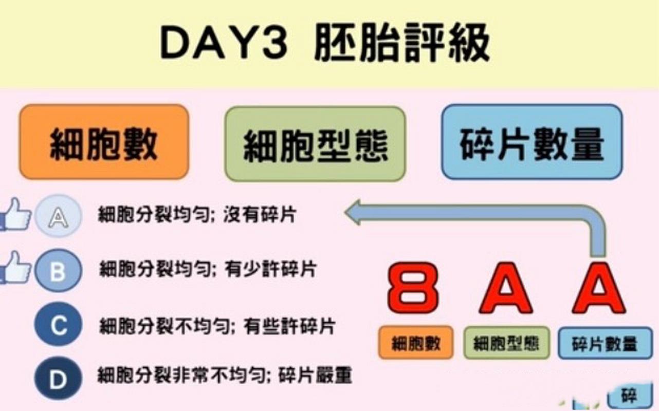 植入成功率