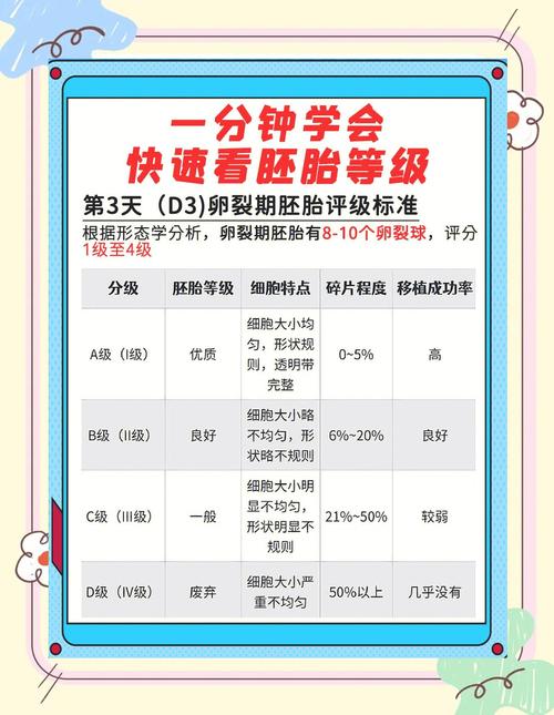 胚胎质量三级