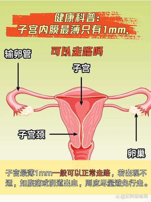  内膜健康