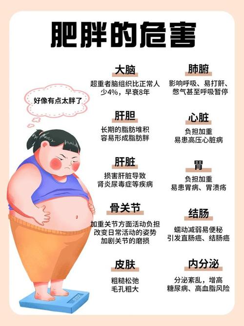 体重影响因素