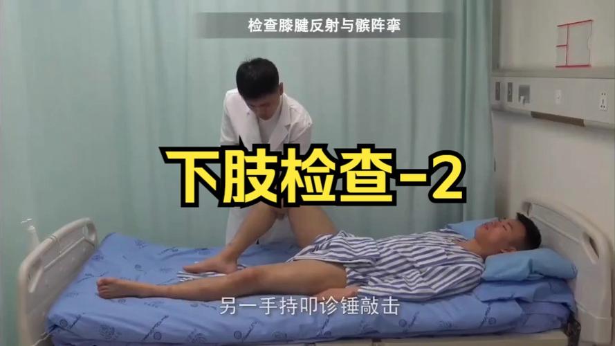 人体检查