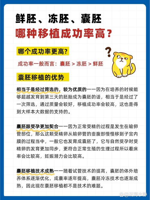 胚胎移植成功率
