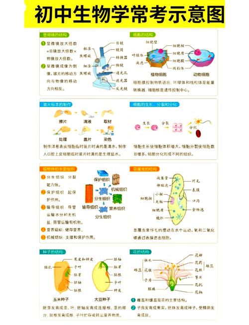  生物功能