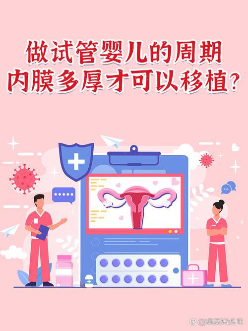 试管婴儿成功的关键：内膜厚度到底有多重要？