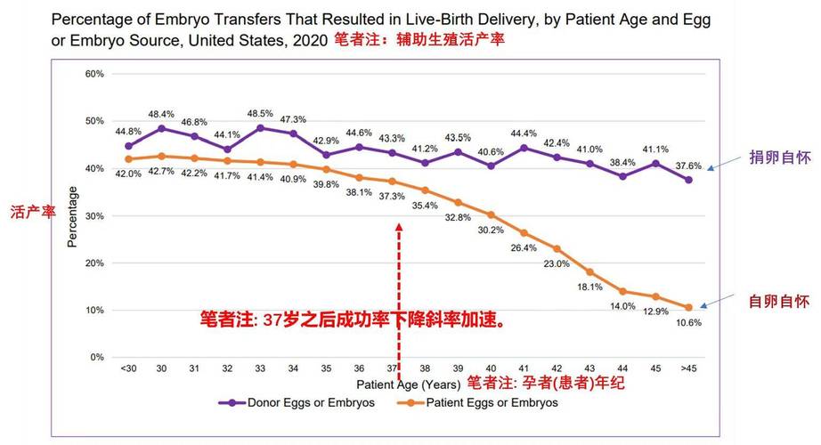 全球试管婴儿数量揭秘：你知道有多少吗？