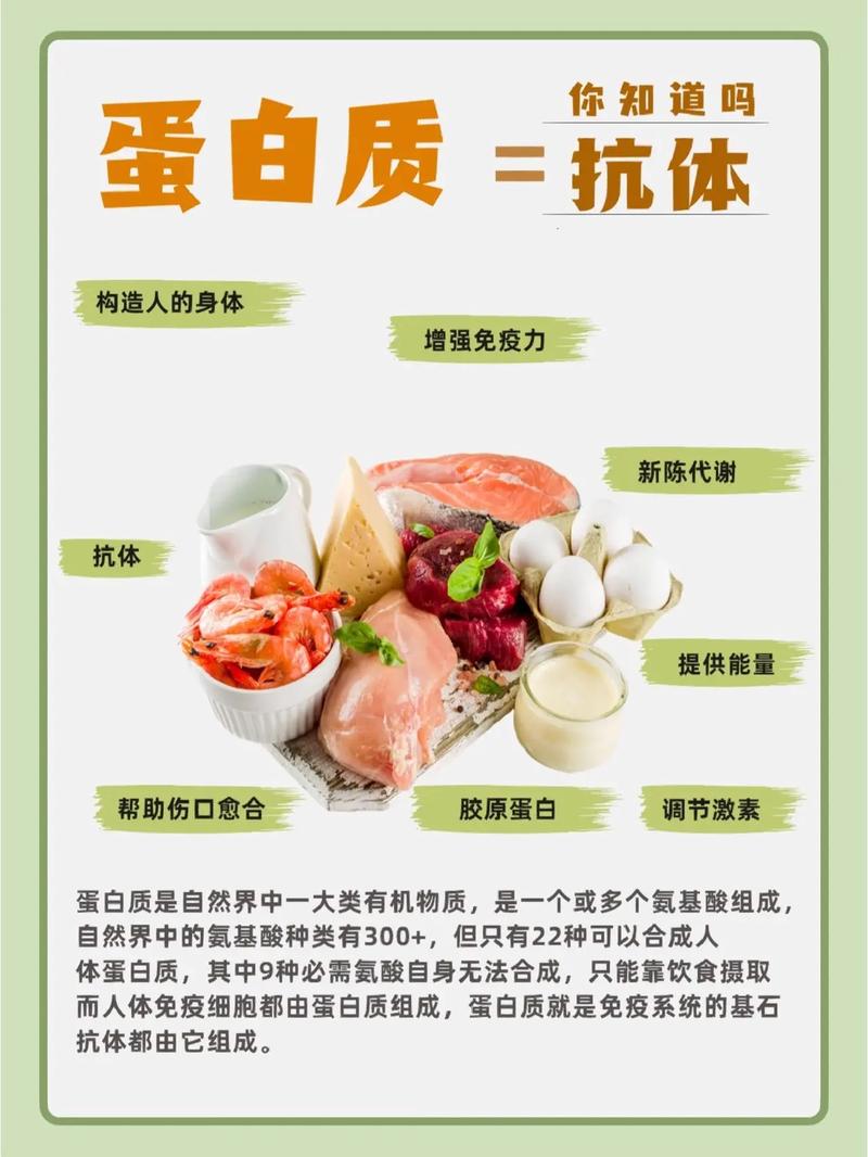  蛋白营养