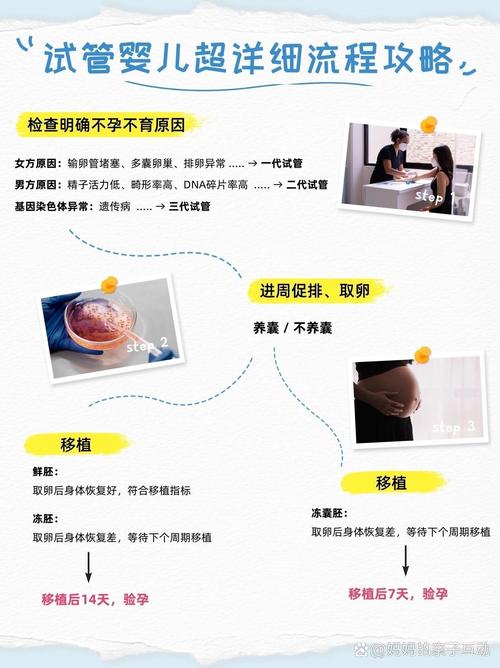试管婴儿成功攻略