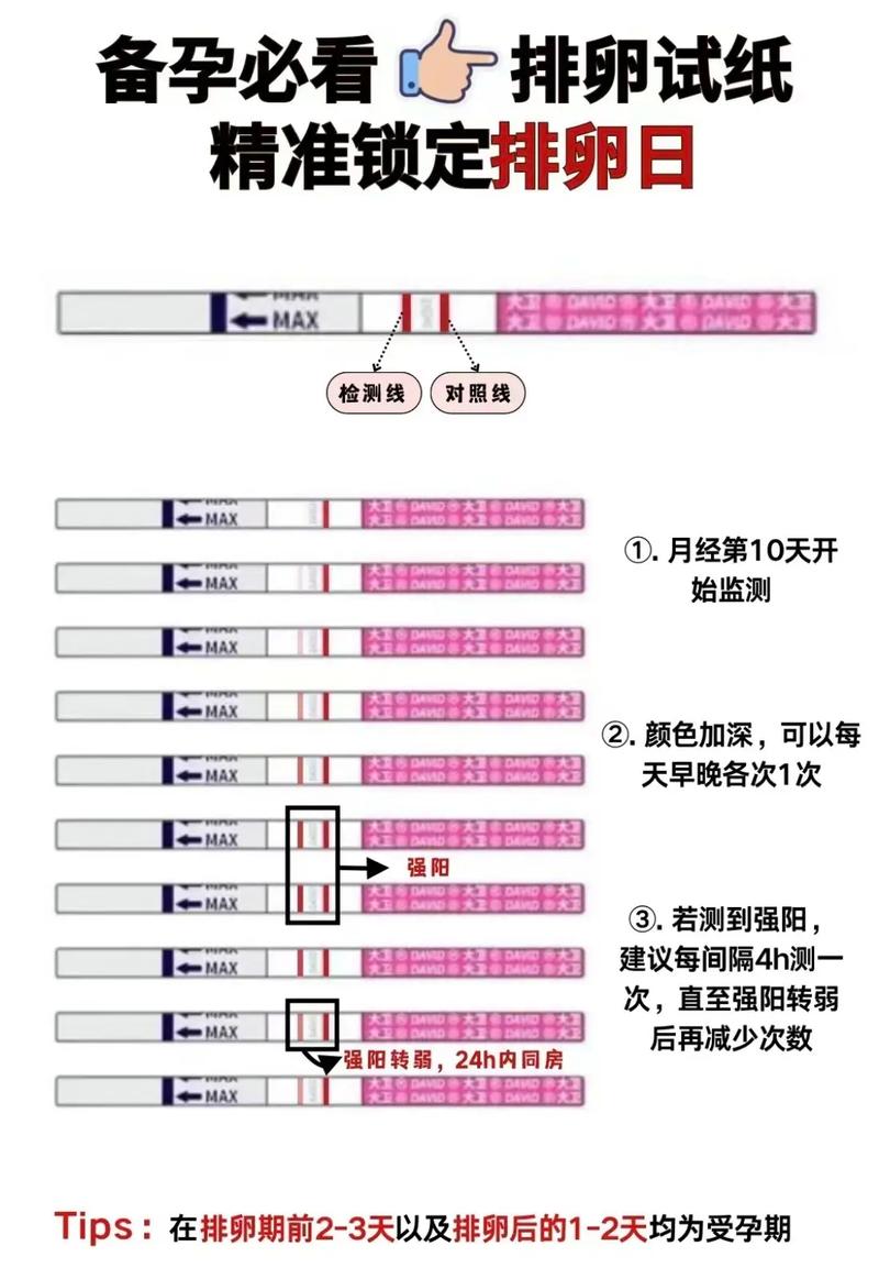 促排卵前检查