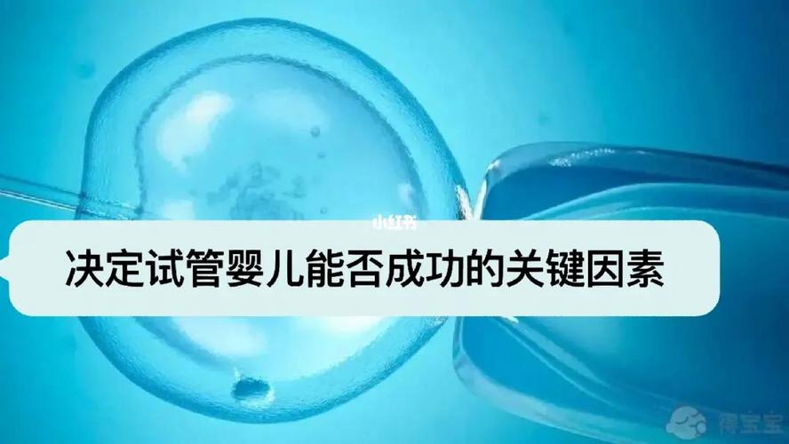 试管婴儿决策