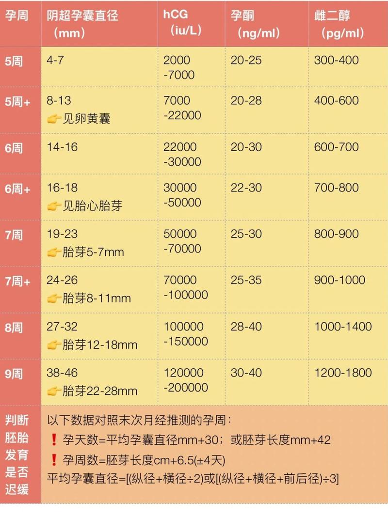 胚胎质量检查