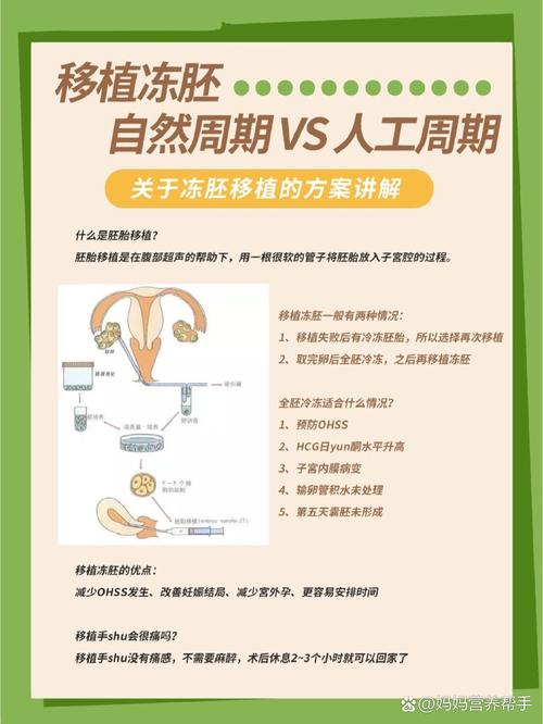 半人工周期移植