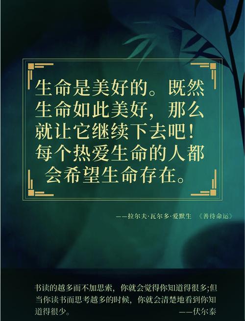  生命感悟