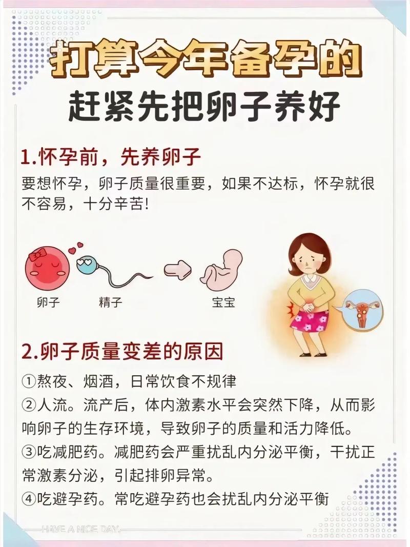  卵子品质