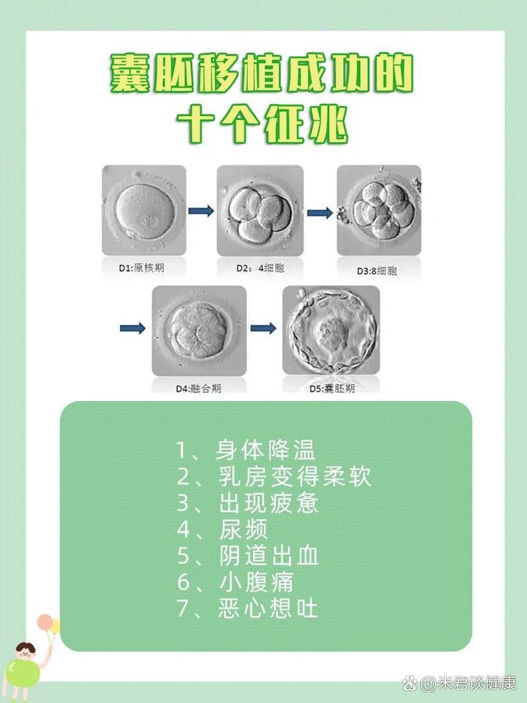 囊胚成功征兆