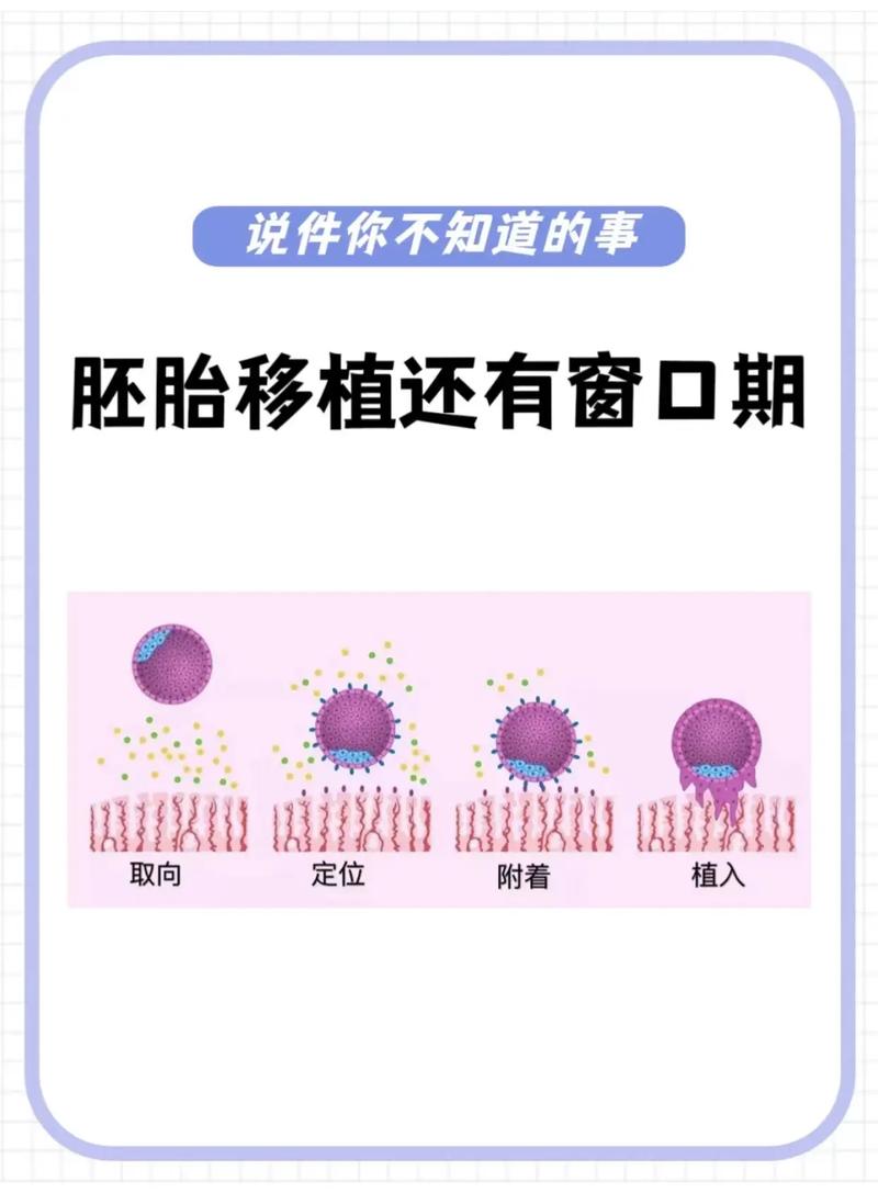移植窗口期