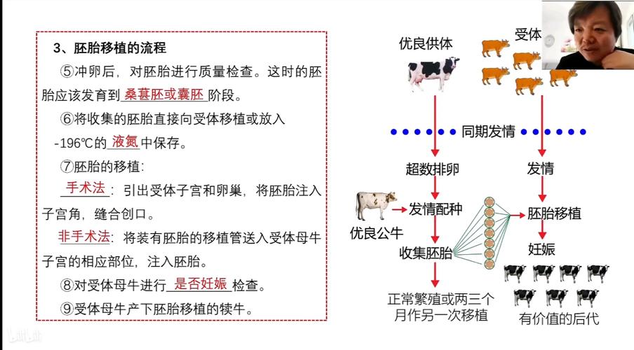 胚胎运输流程