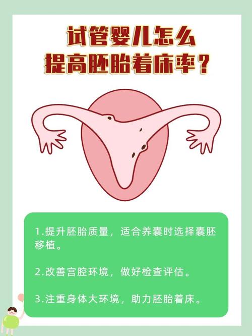 试管前清内膜是否能提高胚胎着床成功率？