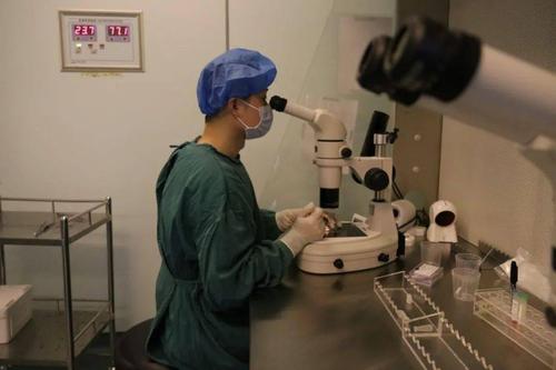IVF-PGD