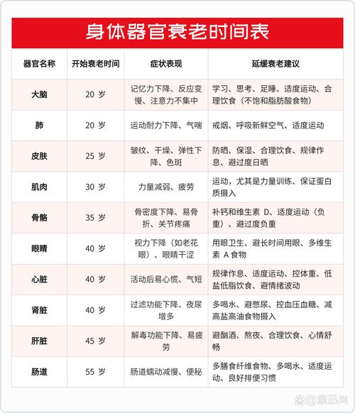 衰老原因