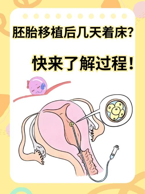 胚胎处理