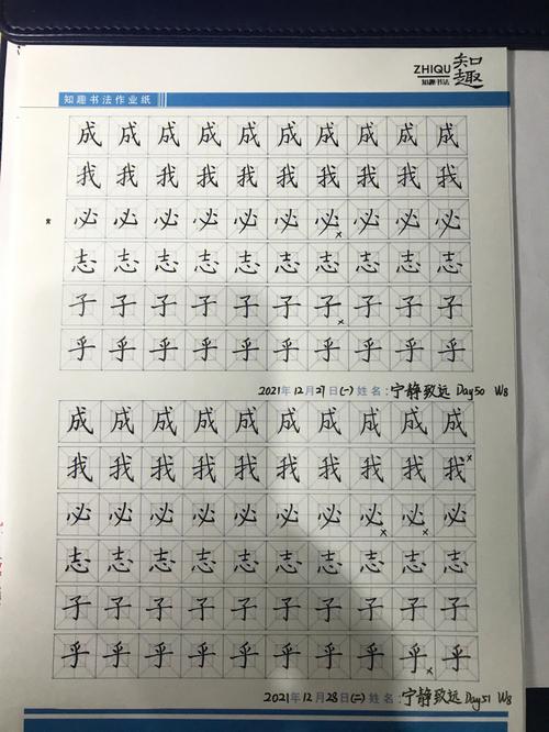 第八周