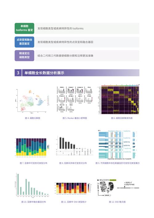 三代筛选技术